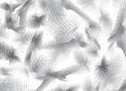 EUPHORIA WKR1002C 