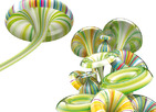 FUTURISTIC BLOSSOM WMB1001